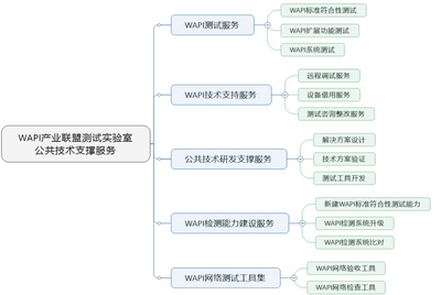 WAPI產業聯盟舉辦無線網絡安全標準產業市場大會，聚焦信息系統集成服務新機遇